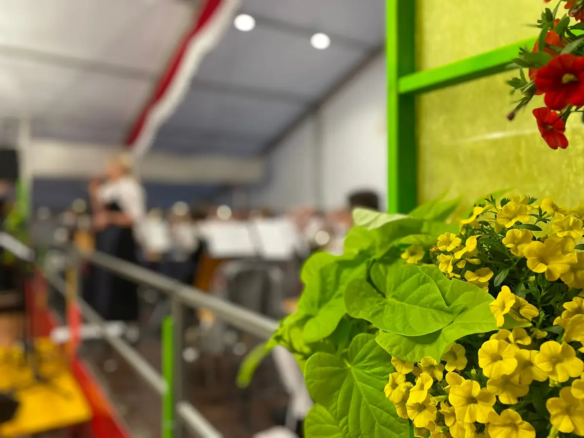 Gelbe und rote Blumen am Bühnenrand im Festzelt, dahinter unscharf eine Sängerin in Tracht und die Blaskapelle