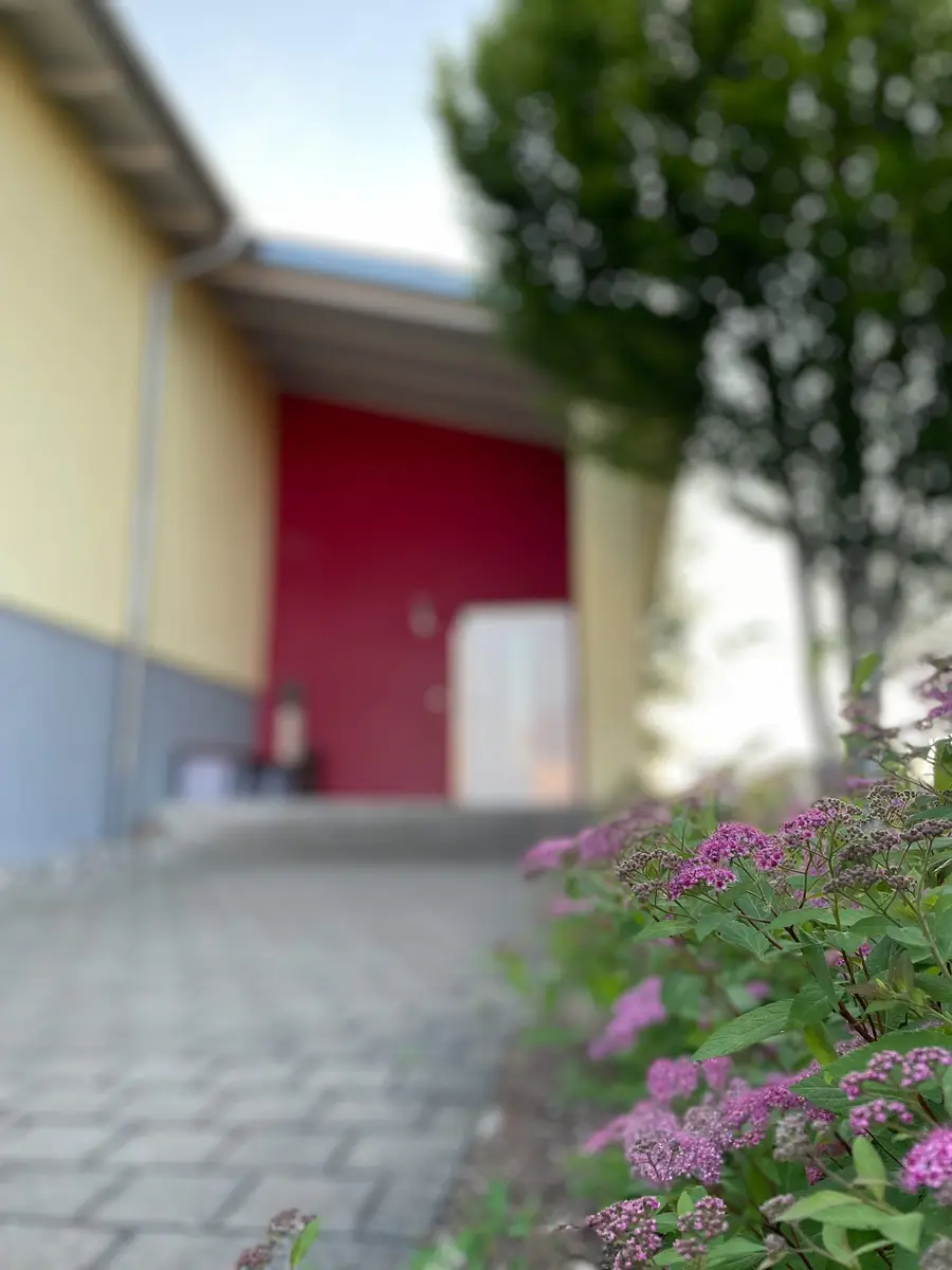 Der Weg zum roten Eingangstor des Musikerheims, vorne blühende Sträucher